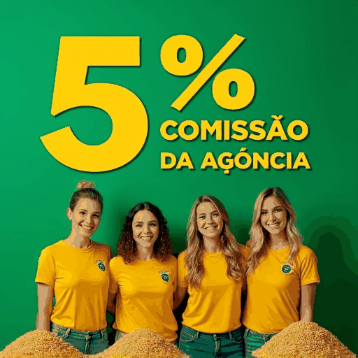 559bet